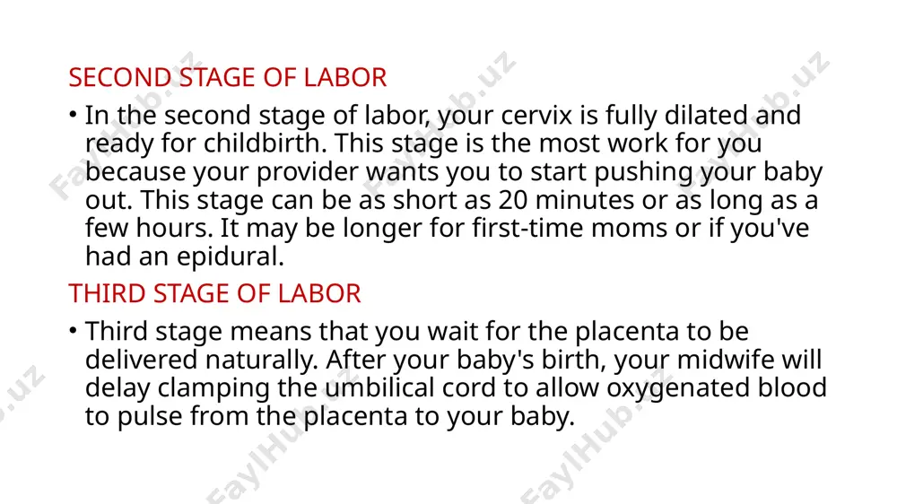 stages of labor - Page 5