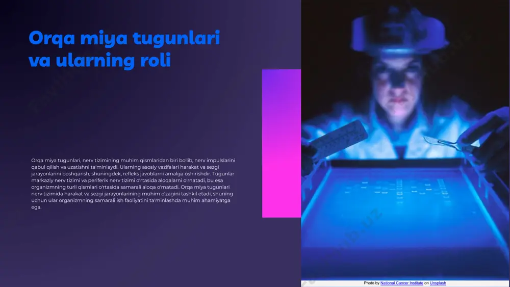 ullarini ishlab chiqish imkonini beradi. xulosa - nerv tizimi inson organizmining muhim qismi bo'lib, uning funksiyalari salomatlikka ta'sir qiladi. - periferik nervlar, motor va sensor funktsiyalar orqali organizmning harakat va sezgi faoliyatini ta'minlaydi. - orqa miya tugunlari nerv tizimining markaziy va periferik qismlari o'rtasidagi aloqani ta'minlaydi. - nerv tizimidagi patologiyalarni aniqlash va davolash muhimdir, chunki ular umumiy salomatlikka ta'sir qiladi. nerv tizimi va uning komponentlari haqida bilganlarimizni yanada chuqurlashtirish zarur. photo by national cancer institute on unsplash e'tiboringiz uchun rahmat! image1.png image2.png image3.png image13.jpg image5.png image14.jpg image15.jpg image6.png image7.png image8.png image9.png image11.jpeg image12.png