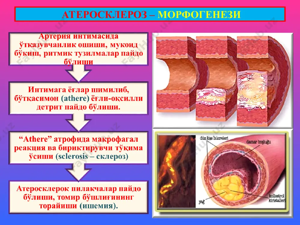 patologik anatomiya ma'rufasi - Page 5