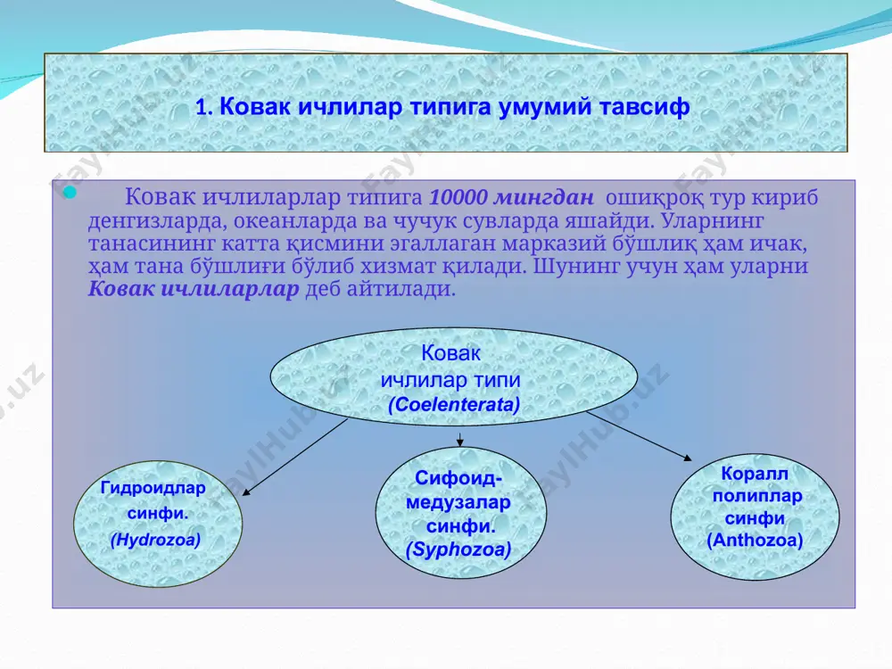ковак ичлилар (coelenterata) типи - Page 3