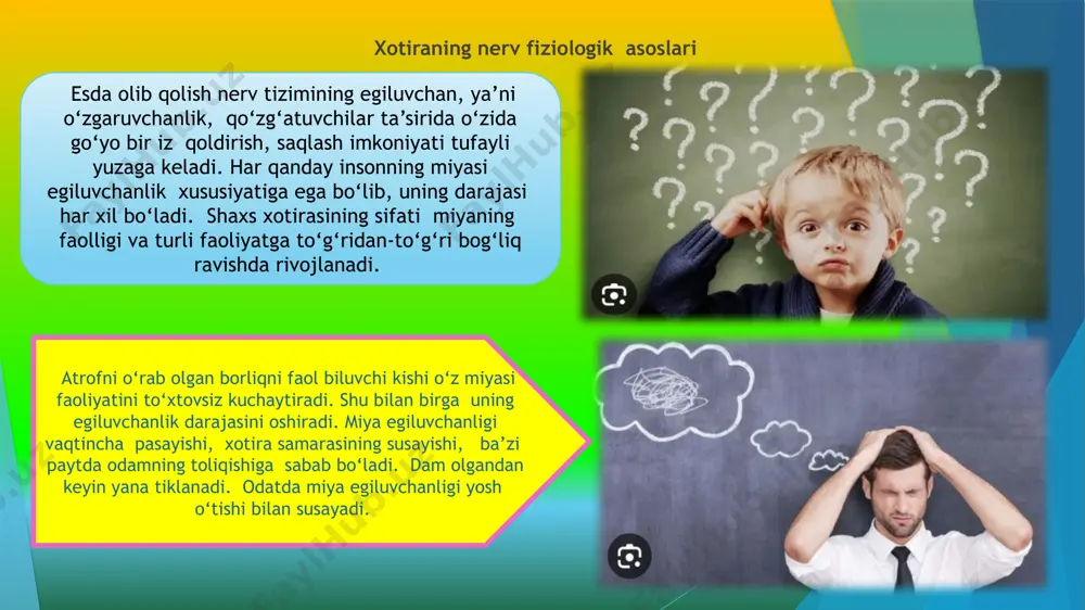 nsonning holati va faoliyatining barcha sohalarida qatnashishi tufayli uning namoyon bo‘lish shakllari, holatlari, shart-sharoitlari, omillari ham xilma-xil ko‘rinishga egadirlar. odatda xotirani muayyan turlarga ajratishda eng muhim asos qilib uning tavsifnomasi sifatida esda olib qolish esda saqlash, esga tushirish, unutish singari jarayonlarni amalga oshiruvchi faoliyatining xususiyatlariga bog‘liqligi olinadi. shu o‘rinda ta’kidlash joizki, ayrim darsliklarda xotira turlari turlicha klassifikatsiya qilinadi. a.v.petrovskiy tahriri ostida chiqqan «umumiy psixologiya» darsligida quyidagi klassifikatsiya uchraydi: faoliyatda ko‘proq sezilib turadigan psixik faollikning xususiyatiga qarab: harakat, emotsional, obrazli va so‘z mantiq xotira. faoliyatning maqsadlariga ko‘ra: ixtiyorsiz va ixtiyoriy xotira. materialni qancha vaqt esda olib qolish va esda saqlash muddatiga ko‘ra: qisqa muddatli, uzoq muddatli va operativ xotira. m.g.davletshin tahriri ostida chiqqan «umumiy psixologiya» o‘quv qo‘llanmasida quyidagi xotira klassifikatsiyasi qayd qilinadi: psixik faolligiga ko‘ra: ixtiyoriy va ixtiyorsiz xotira. faoliyat maqsadiga ko‘ra: harakat, emotsional, obraz va so‘z-mantiq xotirasi. muddatiga ko‘ra: uzoq muddatli, qisqa muddatli va operativ xotira. xotira turlari: psixik aktivlik …