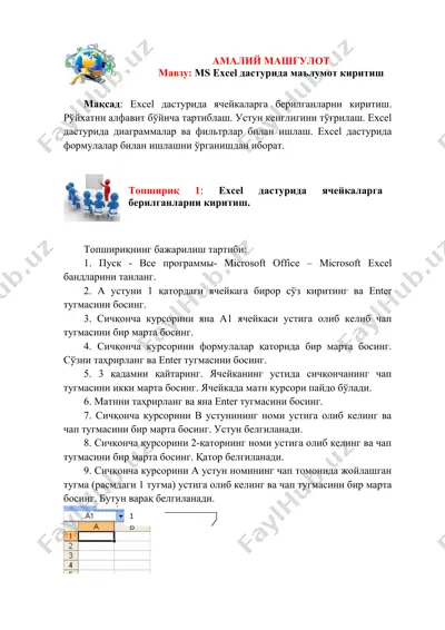 ms excel дастурида маълумот киритиш — DOCX