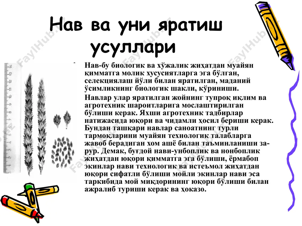 рлигига қараб текисланган, ҳар бир ўсимликнинг бир зайлда озиқланиши ҳисобга олинган. бу ашёдан қўйилган селекцион мақсадга энг муво­фиклари ажратиб олинади. сараланган ўсимлик шу жойда янчила­ди. одатда, ялпи саралаш қатор йиллар давомида такрорланади. ялпи саралаш бир қатор камчиликларга эга. селекциянинг бу усулини қўллаб доннинг бир текис бўлишига эришиш жуда қийин (айниқса, физиологик белгиларига кўра). ялпи саралаш усулининг жид­дий камчиликларидан бири шўқи, сараланган ўсимликларнинг ирсий қийматини белгилаш имконияти йўқ, чунки алоҳида сараланган ўсимликлар уруғи ялпи саралашда, одатда ўз хусусиятларини йуқотади. дурагайлаш бу усул асосан и.в. мичуриннинг олиб борган иш­лари натижасида кенг таркалиб кетди. и.в. мичурин чатиштирувчи жуфтларни танлашнинг асосий тамойилларини, дурагай ўсимликларни устириб тизимини, дурагайлашнинг илмий назариясини ишлаб чикди. бир биридан ирсий хусусиятлари ва белгилари билан фарқ қилувчи икки хил шаклни чатиштириш натижасида ҳосил қилинган ав­лод дурагай деб юритилади. бир ўсимлик чангини (турли нав ёки турларни) бошқа бир ўсимлик уруғчиси тумшугига келтириш йўли билан уруғлантириш натижасида дурагайлаш амалга оширилади. олинган дурагай авлод …