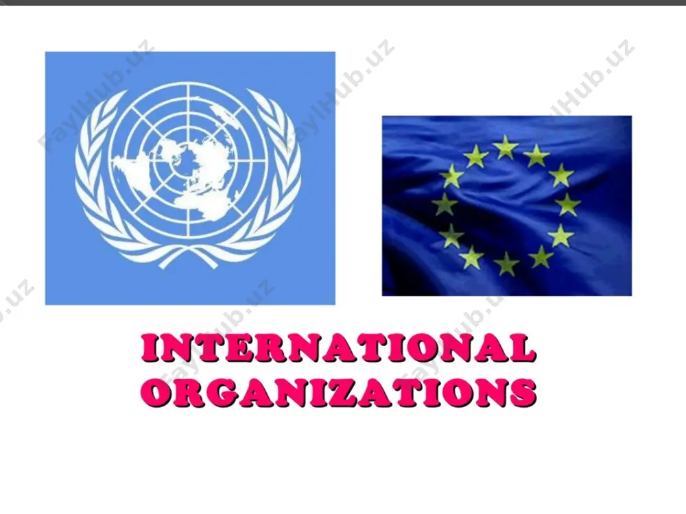 international organizations test - Page 2