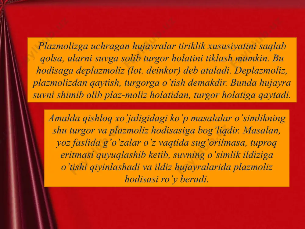 vakuola va hujayra shirasi - Page 4