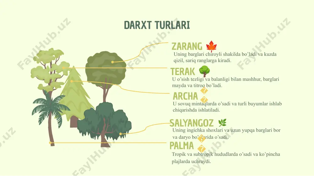 daraxtlar va ularning turlari - Page 4