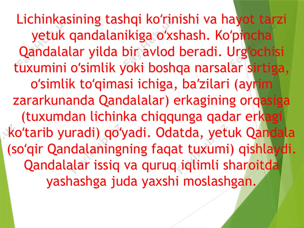 qandalalar turkumi - Page 5