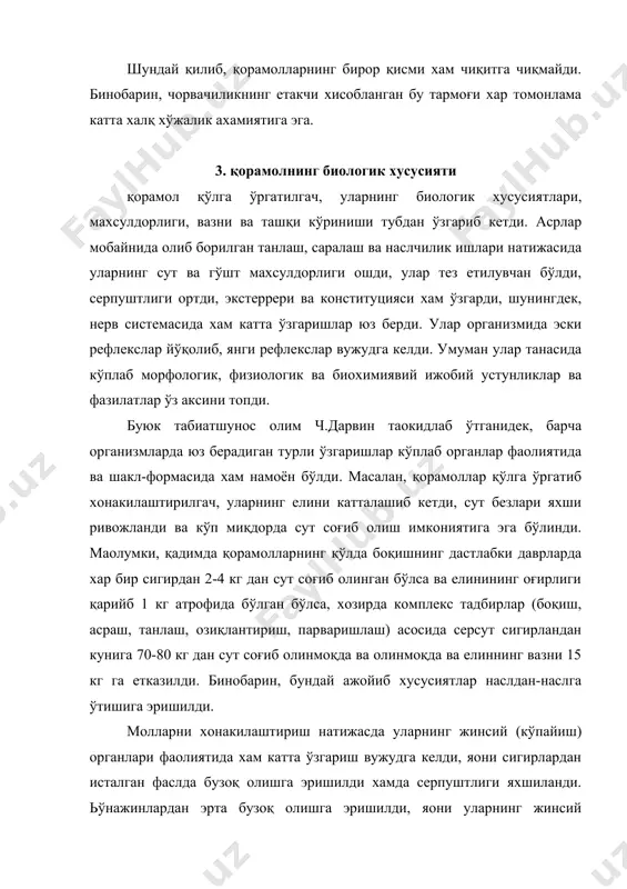 стонда тарқалган асосий қорамол зотлари республика хўжаликларида кўпайтирилаётган серсут сигирларнинг деярли хаммаси бошқа республикалардан турли даврларда келтирилган бўлиб, иссиқ иқлим шароитига анчагина мослаштирилган. ўзбекистон ўрта осиё республикалари ўртасида салмоқли ўринэгаллаган бўлишига қарамасдан, асрлар мобайнида ўз махсулоти унча юқори бўлмаган ва сўнги вақтларда сони жуда камайиб кетган жайдари - зебусимон қорамолларни хисобга олмаганда бу ерда қорамолнинг фақат битта бушуев зоти бўлган. бу зотнинг яратилишида жайдари сигирлар четдан келтирилган моллардан қочирилиб, танлаш ва саралаш ишларини маoлум план асосида олиб борилиши натижасида вужудга келган. бу тўғрида кейинроқ тўхталиб ўтамиз. умуман, серсут сигир зотлари қандай бўлишидан қатoий назар, тана тузилиши, яoни экстерpери, конституцияси, қайси мақсадда боқилишини акс эттирувчи хусусиятлари ва бошқа белгиларига кўра гўштдор қорамоллар зотидан катта фарқ қилади. юқорида айтилганидек, ўзбекистондаги серсут сигирларнинг танаси узун, лекин унча семиз эмас, кўкрак қисми бир оз торайган, лекин яхши ривожланган, қовурғалари бир-биридан узоқ жойлашган, қорин қисми катта, иштахаси яхши, оёқлари узун, ингичка, териси юпқа, эластик ва …