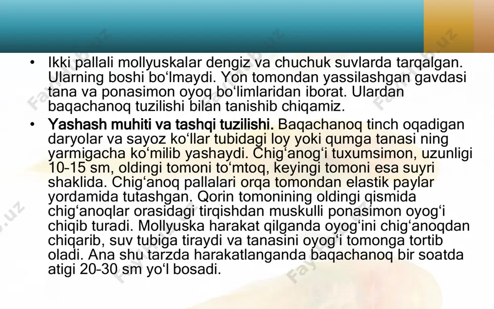 ikki juftoyoqlilar (diplopoda); pauropoda. - Page 4
