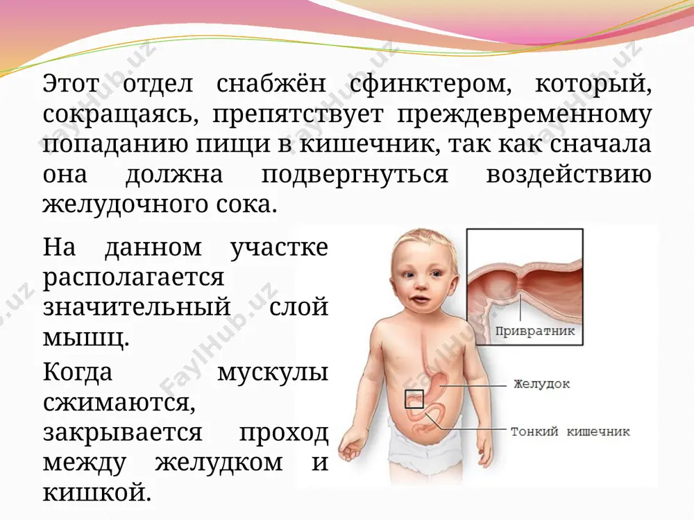 ie turgora koji i snijeniem obshego mishechnogo tonusa s priznakami porajeniya nervnoy sistemi. itak, esli u malisha periodicheski sluchaetsya rvotniy refleks, pri kotorom obilno videlyaetsya tvorojistoe moloko, to neobxodima nezamedlitelnaya konsultatsiya spetsialista i ultrazvukovoe obsledovanie jeludka i pishevoda. rezultati uzi pomogayut viyavit pilorospazm u grudnix detey. diagnostika pilorospazma u rebenka analiz anamneza i jalob zabolevaniya: kak davno voznikayut srigivanie, rvota; xarakter rvotnix mass i ix ob'em; kogda voznikayut simptomi: posle priema pishi, cherez kakoe vremya; est li narusheniya stula (zapori). obshiy osmotr: osmotr koji i slizistix obolochek; palpatsiya jivota (proshupivanie napryajennogo privratnika (mesto perexoda jeludka v 12-perstnuyu kishku) cherez perednyuyu stenku jivota, opredelenie tonusa peredney bryushnoy stenki); issledovanie uslovnix i bezuslovnix refleksov, provedenie prosteyshix nevrologicheskix testov na dvigatelnie funktsii, koordinatsiyu i kontsentratsiyu (viyavlenie porajeniya tsentralnoy nervnoy sistemi). v diagnostike vajni laboratornie testi. klinicheskiy analiz krovi sposoben signalizirovat ob imeyusheysya v organizme rebyonka probleme eshe do poyavleniya otchyotlivix simptomov zabolevaniya krome …