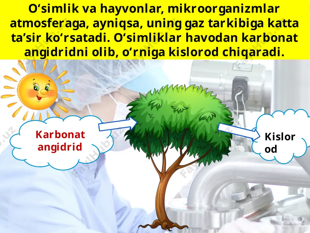 ganizmlar mavjud. mikroorganizm juda mayda, ko‘zga ko‘rinmaydigan jonivordir. ular tuproqqa tushgan organik qoldiqlarni tezda chiritib, gumusga aylantiradi. tuproqda chirindi qanchalik ko‘p bo‘lsa, u shuncha unumdor hisoblanadi. eng unumdor tuproq — qora tuproq. bunday tuproq o‘t ko‘p o‘sadigan dasht yerlarda tarqalgan. mamlakatimizda cho‘l sur tuproqlari va bo‘z tuproqlar ko‘p. ularni sug‘orib, o‘g‘it solib, yaxshi parvarish qilinsa, mo‘l hosil beradi. lekin tuproqlarni suv yuvib ketishidan, cho‘llardagi tuproqlarni esa sho‘r bosib ketishidan, shamol uchirishidan asrash zarur. savol va topshiriqlar: 1. organizmlar yerning havo qobig‘iga qanday ta’sir ko‘rsatadi? 2. daryolar okeanlarga keltirgan kalsiy tuzlari nimalarga sarf bo‘ladi? 3. organizmlar ta’sirida yer po‘stida qanday o‘zgarishlar sodir bo‘ladi? 4. tuproq nima? 5. siz yashaydigan joyda qanday tuproq turlari uchraydi? image2.jpg image3.png image4.png image5.jpeg image6.jpeg image7.jpeg image8.jpeg image9.jpg image10.jpg image11.jpg image12.jpeg image13.jpg image14.jpeg image15.jpeg image16.jpeg image17.jpeg image1.jpg