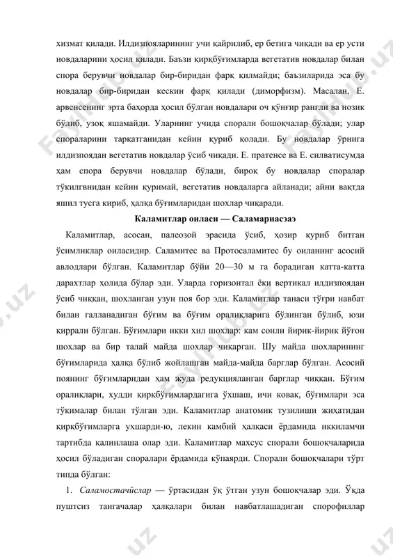 чаларида ҳосил бўладиган споралари ёрдамида кўпаярди. спорали бошоқчалари тўрт типда бўлган: 1. cаламостачйслар — ўртасидан ўқ ўтган узун бошоқчалар эди. ўқда пуштсиз тангачалар ҳалқалари билан навбатлашадиган спорофиллар ҳалқалари турарди. баъзи cаламостачйсларда споралар бир хил бўлса, баъзиларида микро- ва макроспоралар бўлар эди. 2. палоэстачя — бошоқчасининг марказидан ўтган ўқида мевасиз барглар жойлашган; баргларнинг юқорироғида спорофиллар бўлган, улар барг билан ўқ орасидаги бурчакка бириккан. 3. арчеоcаламитес — ҳозирги қирқбўғимларнинг бошоқчаларига ўхшаган бўлиб, бир-бирининг устида зич жойлашган спорофиллардан тузилган эди. 4. cингулариа — спорофиллари нозик ўқида сийрак ҳалқалар ҳолида жойлашган ҳар бир спорофили икки қисмга: баргсимон, устки қисм ва спорали, пастки қисмга бўлинган эди. баргсимон қисмлари бир-бири билан қўшилиб, узун-узун, ўткир тишли шокилага ўхшаган бир нарса ҳосил қилган. спорали қисми учи иккига ажралган калта лентага ўхшаган бўлиб, пастки томонига спорангийлар бириккан эди. понабарглилар синфи — спҳенопҳйллинеаэ понабарглилар, асосан, полеозой эрасида ўсган ва ҳозир қуриб битган ўсимликлар синфидир. асосий оиласи — спҳенопҳйлласеаэ бўлиб, бу …