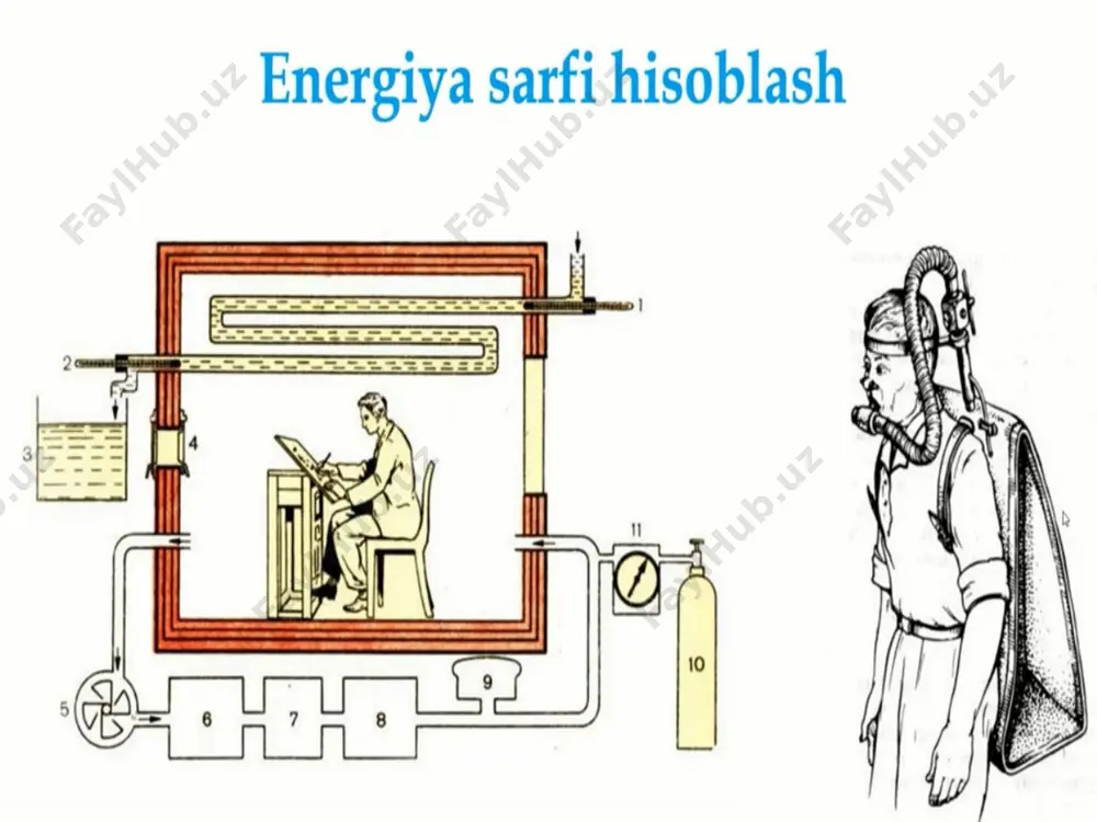 moddalar va energiya almashinuvi - Page 4