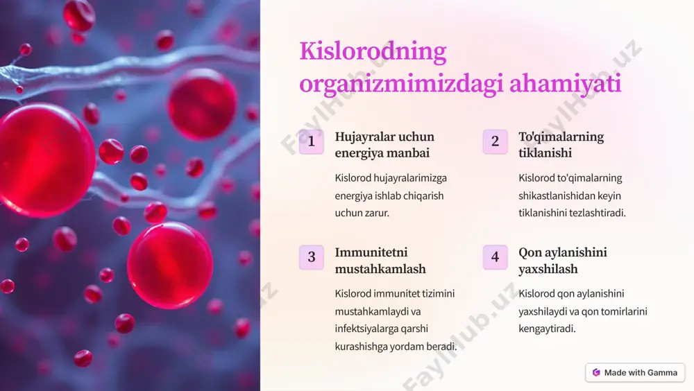 ilishi hbo dekompressiya kasalligi, g'avvoslar kasalligi, to'qimalarning shikastlanishi va boshqa holatlarda qo'llaniladi. https://gamma.app/?utm_source=made-with-gamma kislorod kokteyllari va ularning foydalari 1 tarkibi kislorod kokteyllari kislorod bilan boyitilgan suvdan iborat bo'lib, odatda ozgina limon sharbati qo'shiladi. 2 foydasi kislorod kokteyllari charchoqni bartaraf etishga, immunitetni kuchaytirishga va umumiy farovonlikni yaxshilashga yordam berishi mumkin. 3 qo'llanilishi kislorod kokteyllari odatda jismoniy va ruhiy charchoqni bartaraf etish uchun qo'llaniladi. https://gamma.app/?utm_source=made-with-gamma kislorodli inhalyatsiyaning samaradorligi kasallik yoki holat samaradorligi pnevmoniya kislorodli inhalyatsiya nafas olishni yaxshilashga va pnevmoniya alomatlarini kamaytirishga yordam berishi mumkin. surunkali obstruksiv o'pka kasalligi (sook) kislorodli inhalyatsiya sook bilan og'rigan bemorlarda nafas olishni yaxshilashga va kundalik faoliyatni osonlashtirishga yordam berishi mumkin. yuqori balandlik kasalligi kislorodli inhalyatsiya yuqori balandlikda kislorod yetishmasligi alomatlarini bartaraf etishga yordam berishi mumkin. https://gamma.app/?utm_source=made-with-gamma kislorodoterapiyaning qo'llanilishi: kasalliklar va holatlar yurak-qon tomir kasalliklari kislorodoterapiya yurak xurujidan keyingi davolanishda, angina pektorisida va boshqa yurak-qon tomir kasalliklarida qo'llaniladi. o'pka kasalliklari kislorodoterapiya pnevmoniya, astma, surunkali obstruksiv o'pka kasalligi …