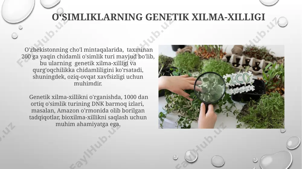 o'simliklar ekologiyasi asoslari - Page 5