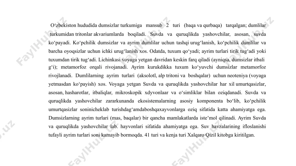 sini qoplashi mumkin. ko'zning orqa qismida teshigini yupqa nog'ora parda qoplagan quloq joylashgan. uni ichki tomondan markazga bitta eshitish, ya’ni uzangi suyagi itarib turadi. nog'ora parda, asosan o'rta quloq bo'shlig'ini tashqi muhitdan ajratib turadigan devor hisoblanib, u baliqlarga nisbatan baqalar eshitish organlarining murakkablashganligini ko'rsatadi. baqalar avlodiga kiruvchi turlar tanasining yon tomonida bo'yiga cho'zilib yotgan teri qatlami bo'ladi. boshning tumshuq qismi ustida yopg'ich klapanli bir juft burun teshigi joylashgan va tirik baqalarda bu klapanlar ochilib turadi. klapanlar baqaning ichki burun teshigi (xoanalar)ni qoplagan bo‘lib, klapan harakati engak osti harakati bilan navbatlashib turadi. tumshug'i juda keng og‘iz teshigi bilan chegara- lanadi. baqaning yuqori jag‘ida qator joylashgan uchi orqaga qayrilgan, oddiy bir xildagi konussimon tishlari bor umuman olganda, baqaning tishlari jag'lararo suyak bilan yuqori jag‘ suyaklarining ichki qirrasi va dimog' suyagiga o'rnashgan (dimog' suyagida tish bo'lishi suvda hamda quruqlikda yashovchilar uchun juda xarakterlidir). amfibiyalarda dimog‘ tishlarining bo'lishi, baliqlardagiga o'xshash ularda ham tishlar faqat …