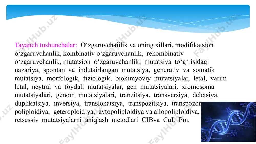 n kislotalar, genlar o ‘zgarishi bilan bogliq o‘zgarishlar tushuniladi. mutatsiya to‘g‘risidagi nazariya dastlab gollandiyalik olim gugo de friz tomonidan ishlab chiqilgan. uning qisqacha mazmuni: 1) mutatsiya to ‘satdan ro‘y beradigan o‘zgaruvchanlik; 2) sifat jihatdan farqlanuvchi o ‘zgaruvchanlik; 3) turg‘un, shu bilan birga turli yo‘nalishdagi o‘zgamvchanlik; 4) mutatsion o‘zgaruvchanlik foydali va zararli boiadi; 5) o‘xshash mutatsiyalar takrorlanishi mumkin. mutatsion o‘zgruvchanlikni sinflashning bir necha xillari bor. kelib chiqishiga ko‘ra mutatsiyalar spontan va indusirlangan xillarga bolinadi. spontan mutatsiya tabiatda to‘satdan paydo boladigan, indusirlangan mutatsiya esa sun’iy sharoitda turli fizikaviy yoki kimyoviy omillar ta’sirida hosil qilinadigan mutatsiyadir. paydo bo‘lgan joyiga ко‘га mutatsiya generativ va somatik mutatsiyaga ajratiladi. generativ mutatsiya jinsiy hujayralarda, somatik mutatsiya esa tana hujayralarida ro‘yobga chiqadi. somatik hujayralardagi mutatsiya jinsiy yo‘l bilan ko‘payadigan hayvonlarning kelgusi avlodlariga berilmaydi. bunga asosiy sabab mutatsiyaga uchragan hujayra, to‘qima, organdan kelgusi avlod rivojlanmaydi. lekin somatik mutatsiya sodir bolgan o‘simlik o‘zgargan organlari vegetativ yoki parxish yoli bilan ko‘paytirilganda …