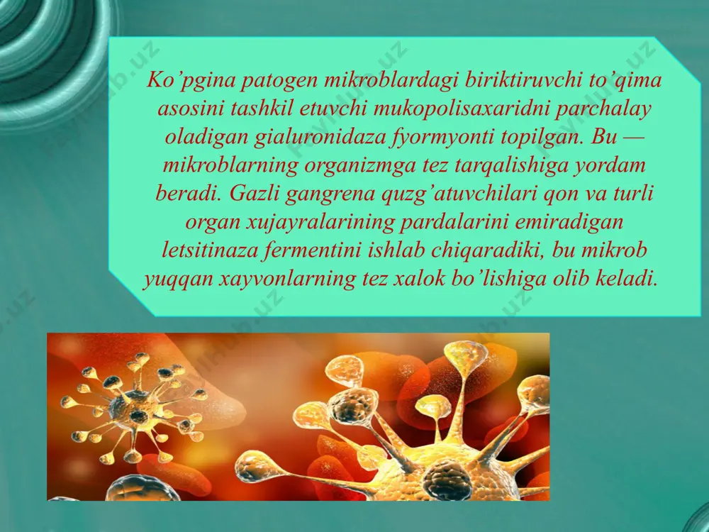 infeksiya haqida ta’limot patogenlik va virulentlik o’rganish usullari - Page 5