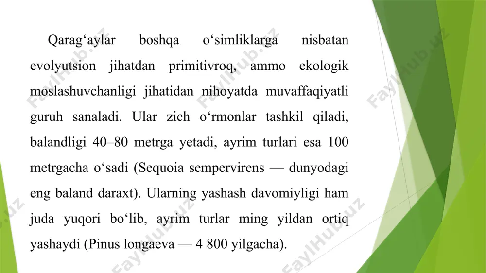 qarag'aytoifao'simliklari - Page 5
