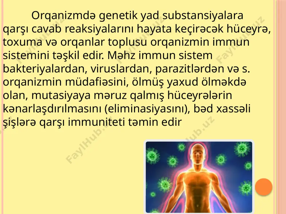 dıran çevik, çox seçici fəaliyyət göstərən müdafiə sistemidir. onun üç əsas xüsusiyyəti vardır: 1. i̇mmun sistem bütün orqanizmdə yayılmışdır. 2. onun bir çox hüceyrələri qan və limfa vasitəsilə bütün orqanizmdə daimi olaraq sirkulyasiya edir. 3. i̇mmun sistem genetik yadlığı ilə fərqlənən müxtəlif antigenlərə qarşı son dərəcə yüksək spesifikliyə malik olan immunoqlobulinlər - anticisim molekulları hasil eden nadir qabiliyyətə malikdir. i̇mmun sistem orqanizmdə bütün limfoid orqanların və hüceyrələr yığımının məcmusudur. başqa sözlə, orqanizmin limfa sistemini immun sistemin morfoloji sinonimi hesab etmək olar. i̇mmun sistemin əsas hüceyrəsi leykositlərin, yaxud ağ qan hüceyrələrinin bir növü olan limfositlərdir. limfositlər leykositlərin ümumi miqdarının 1/3 hissəsini təşkil edir. onlar leykositlərin özünəməxsus morfologiyası ilə fərqlənirlər. limfositlərdə böyük girdə nüvənin ətrafında nazik sitoplazmatik sahə (çəmbər) olur. halbuki, digər leykositlərin əksəriyyətində nüvə hissə-hissə bölünmüş seqmentlərdən və böyük sitoplazmadan ibarət olur. limfositlər ancaq qanda olmur, eyni zamanda toxuma mayesinin hissəsini təşkil edir. limfositlər makrofaqlarla birlikdə orqanizmdə yad maddələrin (substansiyaların tanınması …