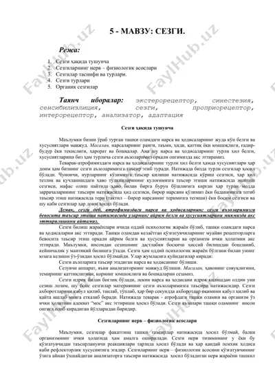 sezgi — DOCX