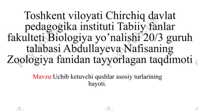 uchib ketuvchi qushlar turlari taqdimoti — PPTX