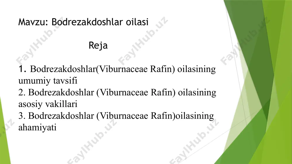 dorivor, ayrimlari esa manzarali o‘simlik sifatida qadrlanadi. masalan, viburnum opulus (oddiy bodreza) o‘zbekiston florasida ham uchraydi va xalq tabobatida yurak xastaligi, shamollash, qon bosimini tushirish uchun ishlatiladi. bodrezakdoshlar ekologik jihatdan ham muhim o‘rin egallaydi. ular ko‘plab hasharotlar uchun nektar manbai bo‘lib xizmat qiladi. ba’zi turlari qushlar va yovvoyi hayvonlar uchun oziq-ovqat manbai hisoblanadi. bundan tashqari, manzarali ko‘chatlar sifatida bog‘-parklarda keng qo‘llaniladi. xulosa qilib aytganda, bodrezakdoshlar (viburnaceae) oilasi kichik hajmda bo‘lishiga qaramay, biologik xilma-xilligi, ekologik va xo‘jalikdagi ahamiyati bilan ajralib turadi. ular nafaqat tabiiy landshaftlarda, balki inson faoliyati bilan bog‘liq hududlarda ham muhim rol o‘ynaydi. bodrezakdoshlar oilasining sistematik joylashuvi o‘simliklar olamida o‘ziga xos evolyutsion yo‘lga ega bo‘lganligini ko‘rsatadi. ularning sistematikasi uzoq yillar davomida morfologik belgilar asosida shakllangan bo‘lsa-da, so‘nggi yillarda molekulyar genetika va filogenetik tadqiqotlar bu tizimga yangicha qarashlarni olib keldi. dastlab viburnum turkumi caprifoliaceae (kaprifoliadoshlar) oilasiga mansub hisoblangan. chunki ularning gullari, barglari va vegetativ tuzilmalari ushbu oilaga xos xususiyatlarni eslatgan. …