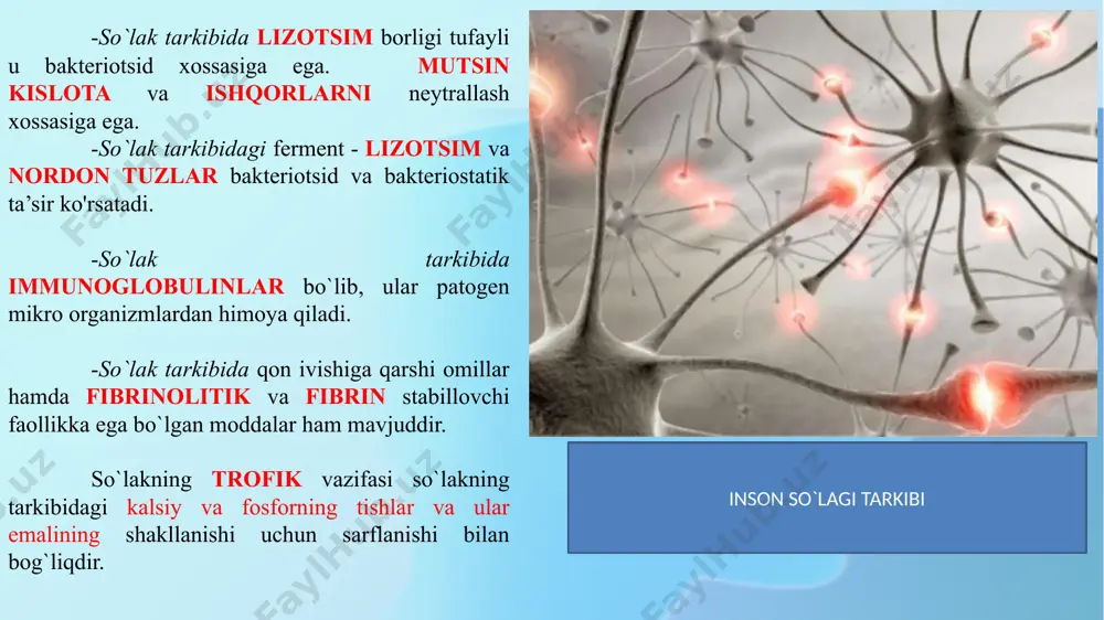nchalik yuqoridir. xlorid kislota hazm jarayonida bir qancha funksiyalarni o`taydi: 1) me’dadagi oqsillarni denaturatsiyalash va bo'ktirish orqali parchalanishni osonlashtiradi; 2) pepsinogenni pepsinga aylantiradi; 3) me’da shirasi ta’sir qilishi uchun optimal kislotali muhitni yaratadi; 4) me’da shirasining antibakterial ta’sirini ta’minlaydi; 5) oziq moddani me’dadan o‘n ikki barmoq ichakka o`tishini me'yorda ushlab turadi, me’da tomondan ta’sir qilib, pilorik sfinkterning ochilishini va o`n ikki barmoq ichak tomondan ta’sir qilib, uning yopilishini ta’minlaydi; 6) pankreatik shira ajralishini kuchaytiradi. oshqozonda xlorid kislota me’da harakatini boshqarishda gastrointestinal gormonlarning ahamiyati ham kattadir. me’da harakatini -gastrin, motilin, serotonin, insulin lar kuchaytiradi, -sekretin, xtsk-pz, glukagon, gip, vip lar esa tormozlaydi. ximusning me’dadan o`n ikki barmoq ichakka o`tishi me’dadan oziq moddalarni o`n ikki barmoq ichakka evakuatsiya qilish tezligi moddaning hajmiga, tarkibiga, qattiq yoki yumshoqligiga, haroratiga, ph ga, me’daning pilorik qismi va o`n ikki barmoqli ichak o‘rtasidagi bosimlar farqiga, pilorik sfinkter holatiga, suv-tuz gomeostazi holatiga va boshqa juda ko‘p omillarga bog`liq …