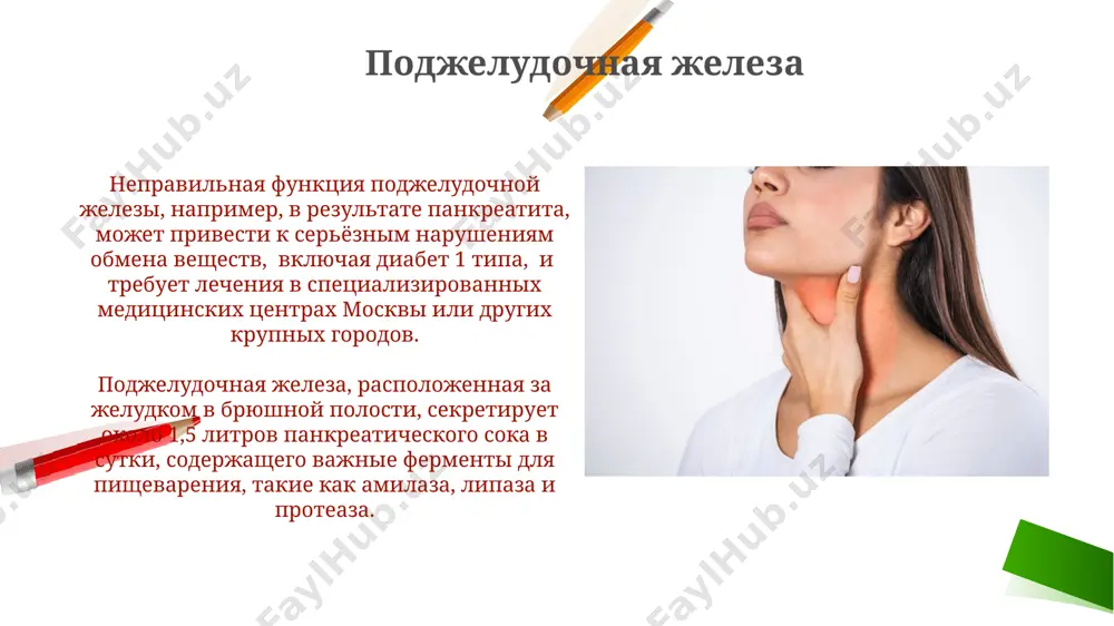 эндокрин безлар - Page 4
