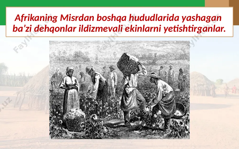 afrika xalqlari o‘rta asrlarda. 7- sinf - Page 3