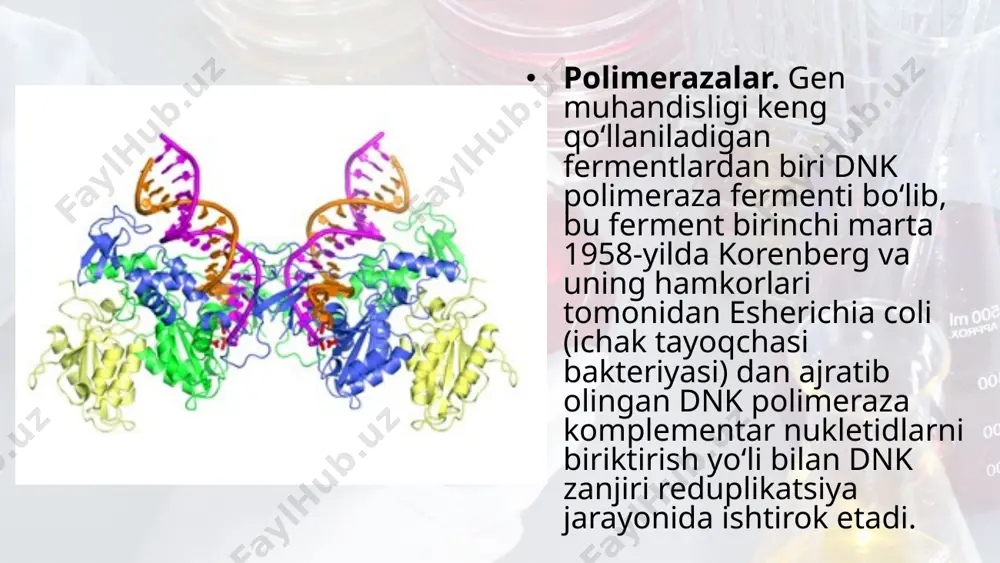 gen muhandisligida qo‘llaniladigan fermentlar. 10 - sinf - Page 4