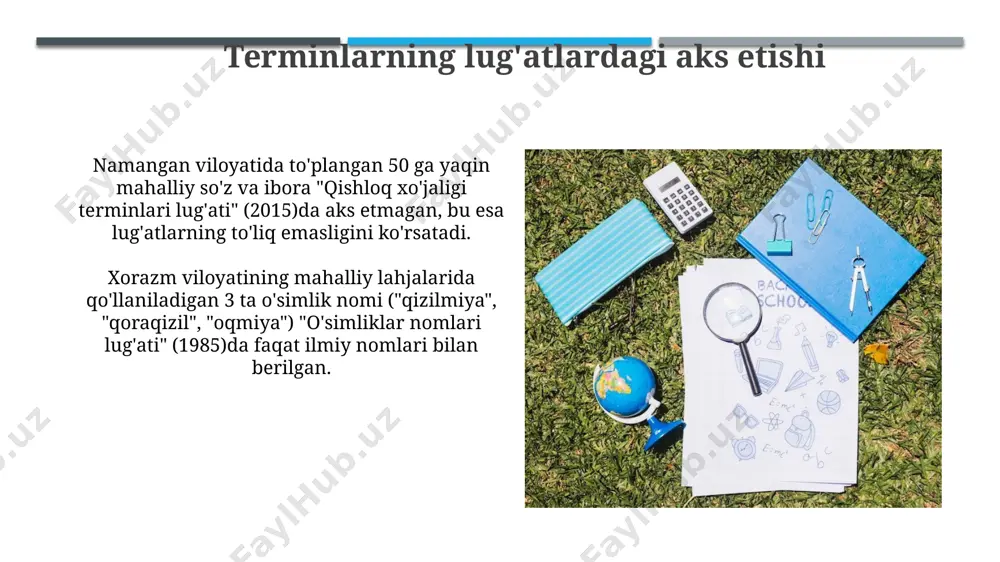 sohaga oid mahalliy va ilmiy terminlarni taqqoslash - Page 4
