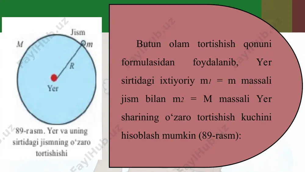 og‘irlik kuchi 7-sinf - Page 3
