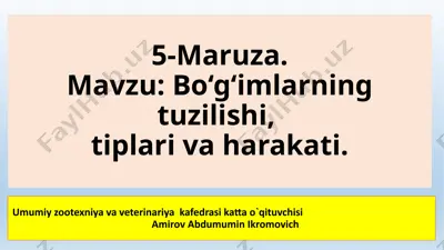 bo‘g‘imlarning tuzilishi, tiplari va harakati — PPTX