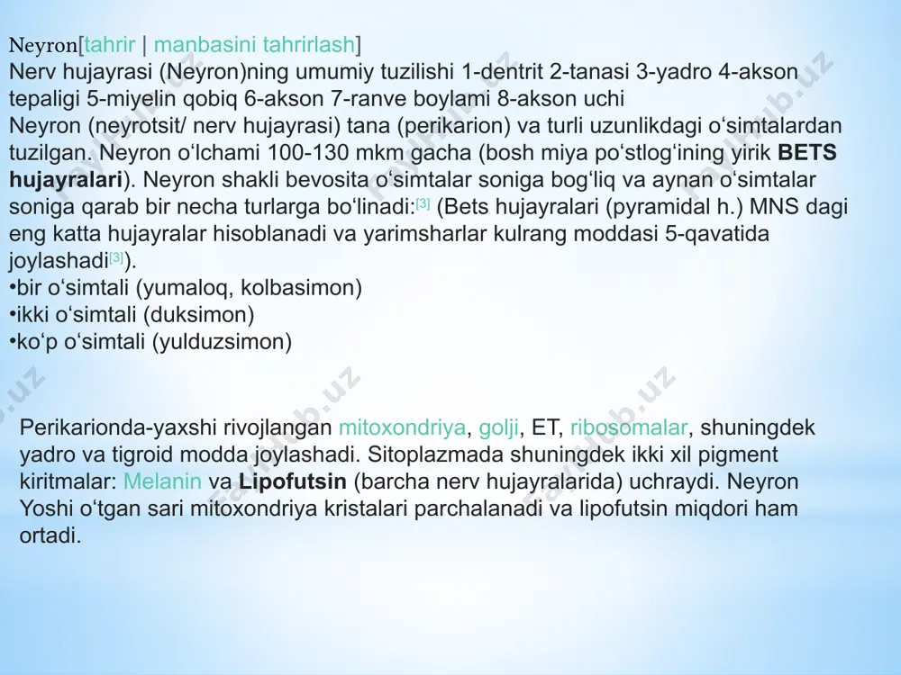 ksoplazma deyiladi. aksonda organellalardan faqat mitoxondriyalar yaxshi rivojlangan. neyrofibrillalar[tahrir | manbasini tahrirlash] neyrofibrillalar hujayra sitoplazmasi va oʻsimtalarda joylashadi (yadro atrofida-perikarionda toʻr shaklida, dendrit va aksonda oʻzaro parallel). hujayraning turli holatiga qarab tez oʻzgarishi mumkin. neyrofibrillalar neyroipchalar (neyrofilamentlar) tutami va mikronaychalardan (neyrotubulalardan) iborat. hujayra sitoskeletini saqlashda, oʻsimtalar oʻsishida shuningdek, modda transportida qatnashadi. neyronlarda yuqori darajada sintez jarayonlari kechadi, sintezlangan moddalarning tolalarga tashiladi.(anterograd;[4] retrograd transportda toladan tanaga tashiladi). neyronlarda joylashgan mikronaychalar orqali transport amalga oshsa, kinezin va dinein (“dvigatel oqsillar”) oqsillari shu transportda foal rol oʻynaydi. kinezin mikrotubulalar boʻylab anterograd (yoki ortograd) transportda qatnashsa, dinenin mikrotubulalar boʻylab retrograd transportda qatnashadi[3]. aksonal transportning oʻzi tezligi boʻyicha: tez (sutkasiga 400mm dan ortiq) va sekin (sutkasiga 20mmgacha) transportlarga boʻlinadi[3]. ahamiyatli tomoni shundaki, 1 mikrotubulaning oʻzida bir qancha yoʻllar boʻlib, bir vaqtning oʻzida ham anterograd ham retrograd harakat amalga oshishi mumkin. атf va са dvigatel oqsillar harakatini taʼminlaydi. anterograd transportda asosan hujayra organellalari, neyrotronsmitter vezikulalari, oqsillar …
