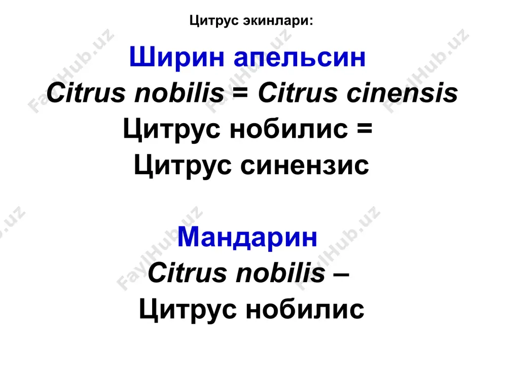 im oqishi kuzatiladi. qishloq xo'jalik ekinlarining kasalliklari va ularga qarshi kurash choralari tsitrus ekinlarining gommoz kasalligi noparazitar (noinfektsion) gommoz noparazitar gommoz kasalligi paydo bo'lishining sabablari: agrotexnika qoidalariga rioya qilmaslik, daraxtlarni chuqur o'tqazish (ildiz bo'g'zini tuproqqa ko'mish), tuproq juda zich va ortiqcha nam bo'lishi, og'ir tuproqlarda ildiz nafas ola olmasligi, qishloq xo'jalik ekinlarining kasalliklari va ularga qarshi kurash choralari tsitrus ekinlarining gommoz kasalligi noparazitar (noinfektsion) gommoz azotli o'g'itni keragidan ortiq solish, ildizni sovuq urishi, poyani oftob kuydirishi, daraxt mexanik jarohatlanishi; daraxtlarning jarohat olgan joylarida yarim parazit bakteriyalar o'rnashib, daraxt hujayralarini qichitishi tufayli daraxt a'zolarida shilimshiq modda paydo bo'lib, oqib chiqishi mumkin. qishloq xo'jalik ekinlarining kasalliklari va ularga qarshi kurash choralari tsitrus ekinlarining gommoz kasalligi parazitar (infektsion) gommoz parazitar gommoz kasalligini bir qancha mikroorganizmlar, jumladan quyidagi turlar qo'zg'atadi, deb hisoblashadi: parazitar (infektsion) gommozni qo'zg'atuvchi zamburug' turlari: phomopsis citri – fomopsis tsitri botrytis cinerea – botritis tsinerea sclerotinia sclerotiorum – sklerotiniya sklerotsiorum phytophthora …