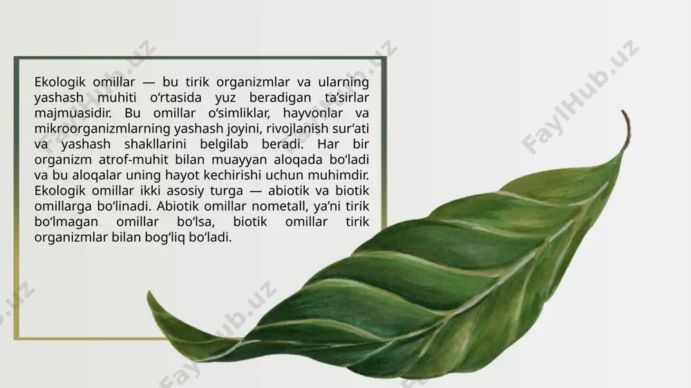 mdir. sanoat chiqindilari, noto‘g‘ri dehqonchilik va ifloslanish tuproq sifatini pasaytiradi. shu sababli tuproq ekologik omillar ichida alohida o‘rin tutadi. tuproq va uning ekologik funksiyasi biotik omillar tirik organizmlar o‘rtasidagi o‘zaro ta’sirlarni bildiradi. bu omillar ekotizim ichidagi oziqlanish zanjirlari, raqobat, yirtqichlik, parazitizm, simbioz kabi munosabatlarda namoyon bo‘ladi. masalan, hayvonlar o‘simliklar bilan oziqlansa, o‘simliklar esa hasharotlar yordamida changlanadi. bu turdagi o‘zaro bog‘liqliklar tabiatda muvozanatni ta’minlaydi. agar bir turning soni keskin kamayib ketsa, boshqalarga ham ta’sir qiladi. biotik omillar o‘zgaruvchan bo‘lib, turli sharoitlarda turli yo‘nalishda rivojlanadi. ular organizmlarning moslashuvchanligi va yashash usullarini shakllantiradi. shuning uchun biotik omillar ekologik barqarorlikning muhim qismini tashkil qiladi biotik omillar haqida umumiy ma’lumot o‘simliklar fotosintez orqali quyosh nurini organik moddalarga aylantiradi va oziq-ovqat zanjirining birinchi bo‘g‘inini tashkil qiladi. ular kislorod ishlab chiqarib, atmosferaning gaz tarkibini muvozanatlashda ishtirok etadi. o‘simliklar tuproq eroziyasining oldini oladi va namlikni saqlab qoladi. ular ko‘plab hayvonlar uchun yashash joyi va oziq manbai bo‘lib xizmat …