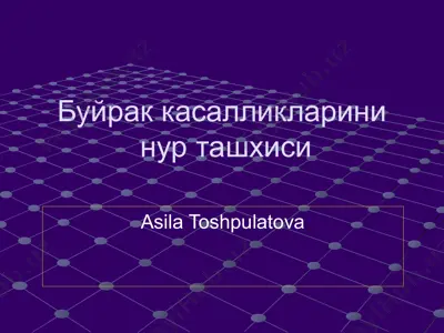 буйрак касалликлари нур ташхиси — PPTX