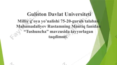 "tushuncha" — PPTX