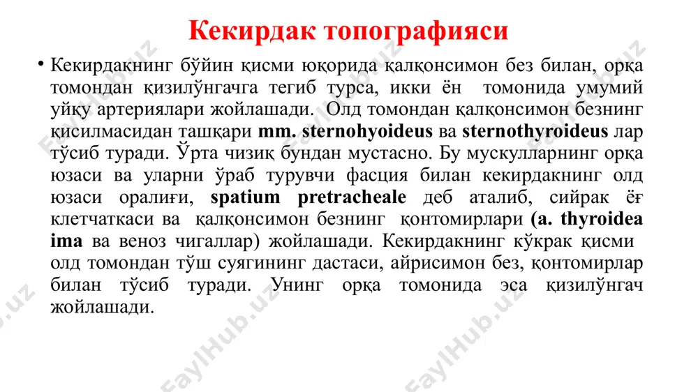 золарига тегиб турувчи юзаси pars mediastinalis ва умуртқа поғонасига тегиб турувчи pars vertebralisга бўлинади. бу учала юза ўпканинг қирралари ёрдамида бир биридан чегараланиб туради. ўпкалар ўпканинг диафрагмал юзаси бошқа юзалардан margo inferior, қовурға юзаси медиал юзасидан margo anterior воситасида чегараланади. ўпканинг медиал юзасида перикард чуқурчасидан юқори ва орқада унинг дарвозаси hilus pulmonis жойлашади. ўпка дарвозасидан бош бронх, ўпка артерияси ва нервлар кириб, иккита ўпка венаси, лимфа томирлари чиқиб, ҳамма тузилмалар умумий равишда ўпка илдизи radix pulmonis ни ташкил қилади. ўпка илдизида бронх дорсалроқ жойлашиб, чап ва ўнг ўпкада қонтомирларга нисбатан жойлашуви бир хил эмас. ўнг ўпка дарвозасида энг юқорида бронх, сўнгра ўпка артерия ва ўпка венаси жойлашса (ваv), чап ўпка дарвозасида энг юқорида ўпка артерияси, сўнгра бош бронх ва ўпка венаси (авv) жойлашади. ўпкалар ҳар бир ўпка ёриқлар, fissurae interlobares ёрдамида ўпка бўлаклари, lobiгa бўлинади. улар бири, қийшиқ ёриқ, fissuraе obliqua, иккала ўпкада ҳам бор. у ўпка учидан 6-7 см …