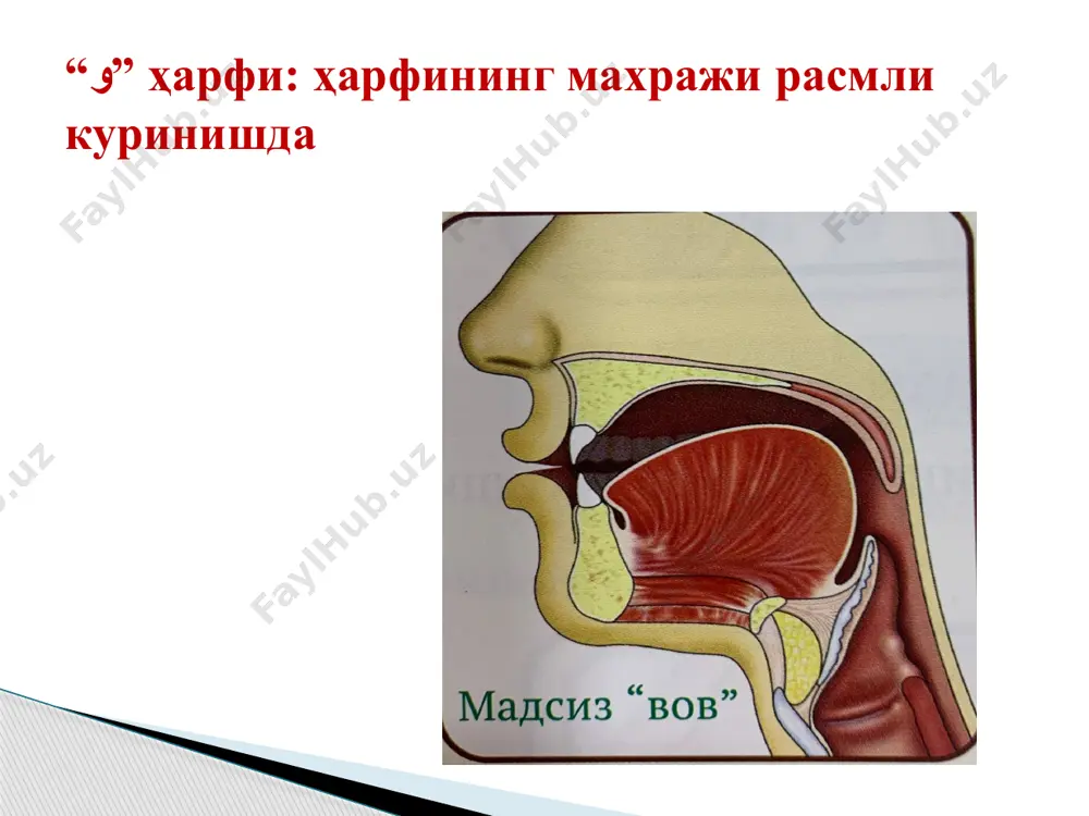 “қуръони карим ва тажвид” ўқув курси - Page 3