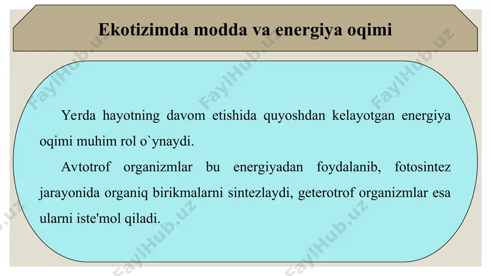 ekologik piramidalar va ekotizmlarning o’zgarish su’rati - Page 5