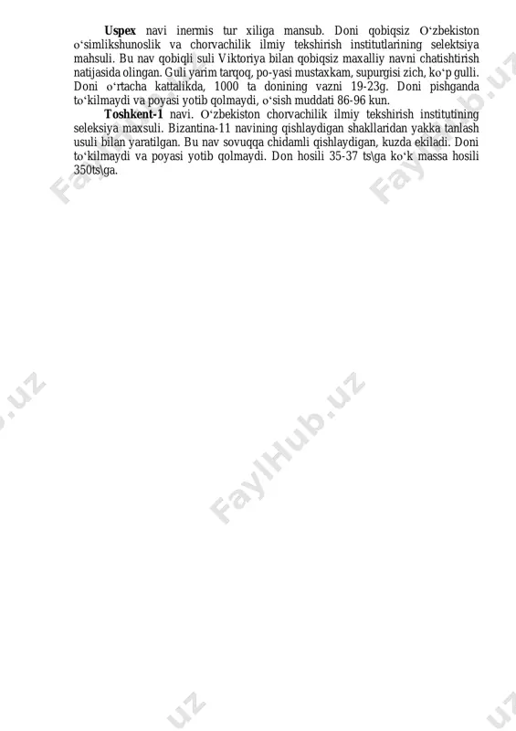 o‘plami supurgisimon, tarqoq ba’zan bir yonli boshoqchalar 2-4 gulli, ba’zan bir gulli bo‘ladi, yalang‘och donli shakllarida 5-7 gulli bo‘ladi, gullari ikki jinsli, tepada joylashgan gul uzun gul bargiga ega, yuqorigi guli ko‘pincha rivojlanmaydi. boshoqcha qobiqlari pardasimon, keng, lantsetsimon shaklda, qiltiqsiz, gulning uzunligiga teng bo‘ladi, 9-10 ta tomirlari bo‘ladi. tashqi gul qobig‘i lantsetsimon, 5-9 ta tomirlari bo‘lib, uchida ikkita qiltiqsimon o‘tkir o‘simta bo‘ladi. ichki gul qobig‘i tashqi gul qobig‘iga nisbatan kalta, ensiz, chekkalarida ikkita kipriksimon tomirlari bo‘ladi. sulining doni uzunchoq, tukli, ko‘pchilik navlarida qobiqli, qobiqsiz shakllari xam bo‘ladi. yanchishda gul qobiqlaridan oson ajraladi. sulining navlari. do‘stlik 85. 1993 yildan samarqand viloyatining sug‘oriladigan yerlarida davlat reyestriga kiritilgan. supurgisi yarimtarqoq, oq, sariq rangga aylanadi, uzunligi 19-25 sm. supurgisidagi donining o‘rtacha soni 52-54 dona. doni och-sariq rangli. 1000 ta donining vazni 31.7 g. 1993-1997 sinov yillarida quruq moddasining o‘rtacha hosildorligi gektaridan 31.4 tsentnerni tashkil etdi. o‘suv davri ko‘k ozuqa uchun o‘rilgunga qadar 162-170 kun …