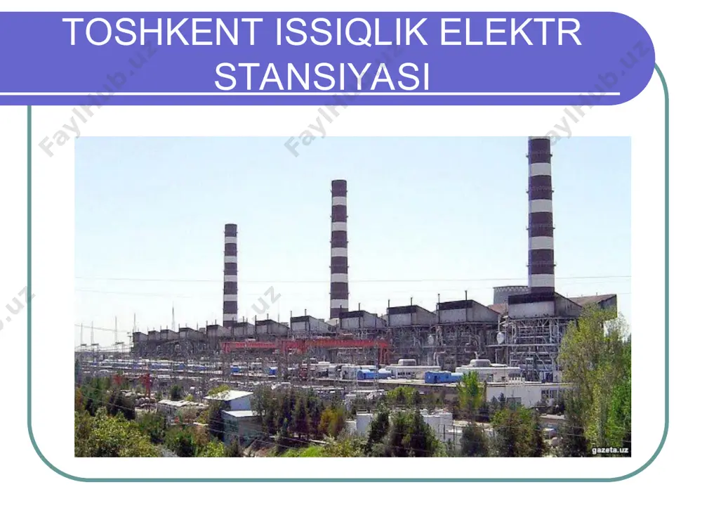 issiqlik elektr stansiyalari - Page 4