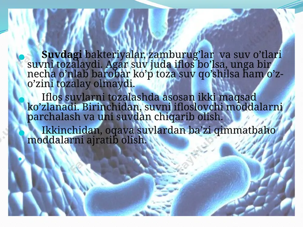 toza qo’llar salomatlik garovidir - Page 4