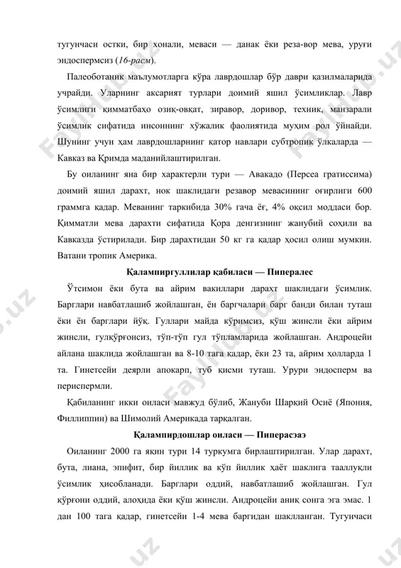 они оддий, қўш жинсли, шамол ёрдамида чангланади, уруғи қорамтир данак. зиравор ўсимлик сифатида, эфир мойи туфайли ишлатилади. ватани жануби-шарқий осиё. тропик ва субтропик ўлкаларда маданийлаштирилган. нилуфаргуллилар қабиласи — нймпҳаэалес. кўп йиллик сувда ўсувчи, кўпинча илдиз пояли ўсимлик. пояси, одатда редукцияга учраган. барглари бутун, навбатлашиб ёки, айрим ҳолларда ҳалқа шаклида жойлашган. гули якка-якка, катта, қўш жинсли, тўғри (актиноморф), ҳашаротлар ёрдамида чангланади. чангчилари чексиз, уруғчиси кўп сонли мевабарглардан шаклланган. меваси ёнғоқча ёки резавор мева. уруғи перисперм ёки эндоспермли. нилуфаргулдошлар оиласи — нймпҳаэаcэаэ ёпиқ уруғли ўсимликларнинг энг қадимий оилаларидан бири. унинг 100 га яқин тури 8 туркумга мансуб. аксарият қисми иссиқ иқлимли ва субтропик ўлкаларда тарқалган. ҳамдўстлик мамлакатларида 5 туркумга мансуб 8 тури борлиги аниқланган. ўрта осиёда 2 туркумга мансуб 4 тури учрайди. уларнинг аксарият қисми сувда, ботқоқликларда ўсадиган кўп йиллик илдиз пояли ўсимликлар. гуллари катта, актиноморф, қўш жинсли. гул формуласи: cа3+5 cо∞ а∞ г∞, тугунча ўртада уруғчиси кўп сонли мева баргидан шаклланган …