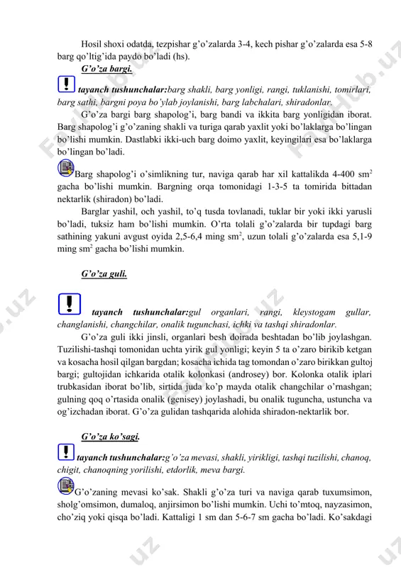tip uzun bo’g’imli (bo’g’im oralig’i 15 sm gacha); 4-kenja tup juda uchun (bo’g’im oralig’i 20-25 sm gacha). bundan tashqari, kenja tiplar o’rtasida oraliq tipdagi g’o’zalar mavjud. hosil shoxlarining qisqa-uzunligi irsiy belgi bo’lib, g’o’za tupining g’uj yoki tarvaqaylab o’sishini belgilaydi. shoxlar tarvaqaylab o’sganda qator oralarini ishlashni va hosilni terishni qiyinlashtiradi, shoxlar g’uj o’sgan taqdirdagina bu jarayon osonlashadi. agar o’simlik oziqa moddalar bilan yaxshi yoki yuqori ta’minlangan taqdirda o’suv va hosil shoxlari yonidan qo’shimcha kurtakdan yana o’suv va hosil shoxlari chiqib ketishi mumkin. texnologik jarayonlar o’simlik talabi darajasida olib borilib, normal tup son bo’lganda, g’o’zalar o’rtacha 1-3 o’suv shoxi, 14-20 ta gacha hosil shoxi paydo qiladi, bu vaqtda chilpish o’tkazilib, o’sishni to’xtatish mumkin. hosil shoxi odatda, tezpishar g’o’zalarda 3-4, kech pishar g’o’zalarda esa 5-8 barg qo’ltig’ida paydo bo’ladi (hs). g’o’za bargi. tayanch tushunchalar:barg shakli, barg yonligi, rangi, tuklanishi, tomirlari, barg sathi, bargni poya bo’ylab joylanishi, barg labchalari, shiradonlar. g’o’za bargi barg shapolog’i, …