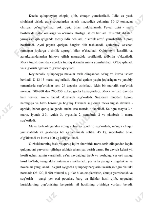 a ahamiyat berish zarur. bu davrda kelasi yil hosili uchun zamin yaratiladi, ya’ni navbatdagi tartib va yoshdagi yer osti palagi hosil bo’ladi, yangi ildiz sistemasi shakllanadi, yer ustki palagi - jingalaklar va novdalari yangilanadi. avgust oyigacha qulupnoy barglarini kesish,so’ngra bir-ikki normada (№ 120, r 90) mineral o’g’itlar bilan oziqlantirish, chuqur yumshatish va sug’orish - yangi yer osti poyalari, barg va ildizlar hosil qilib, uyqudagi kurtaklarning uyg’onishiga kelgusida yil hosilining o’sishiga yordam beradi. barglar yoshartirish va oq hamda qo’ng’ir dog’lik, un shudringga va boshqa zararkunanda hamda kasalliklarga qarshi sog’lomlashtirish maqsadida kesiladi. bu tadbir katta maydondagi qulupnoyzorlarda mexanizmlar yordamida amalga oshiriladi. barglar o’roq mashinasida o’riladi, xaskashlar bilan yigishtirib olinadi. bundan so’ng, albatta katta dozada sug’orish zarur. 3. smorodina (qorag’at) - smorodina (qorag’at) rezavor mevalar ichida qulupnoydan keyin ikkinchi o’rinni egallaydi. smorodina o’tkazilgandan keyin ikkinchi yili hosilga kiradi. qalamchadan, parxish qilish, tuplarni bo’lish yo’li bilan tez ko’payadi. o’zbekistonda qora, kizil, tilla rang smorodina …