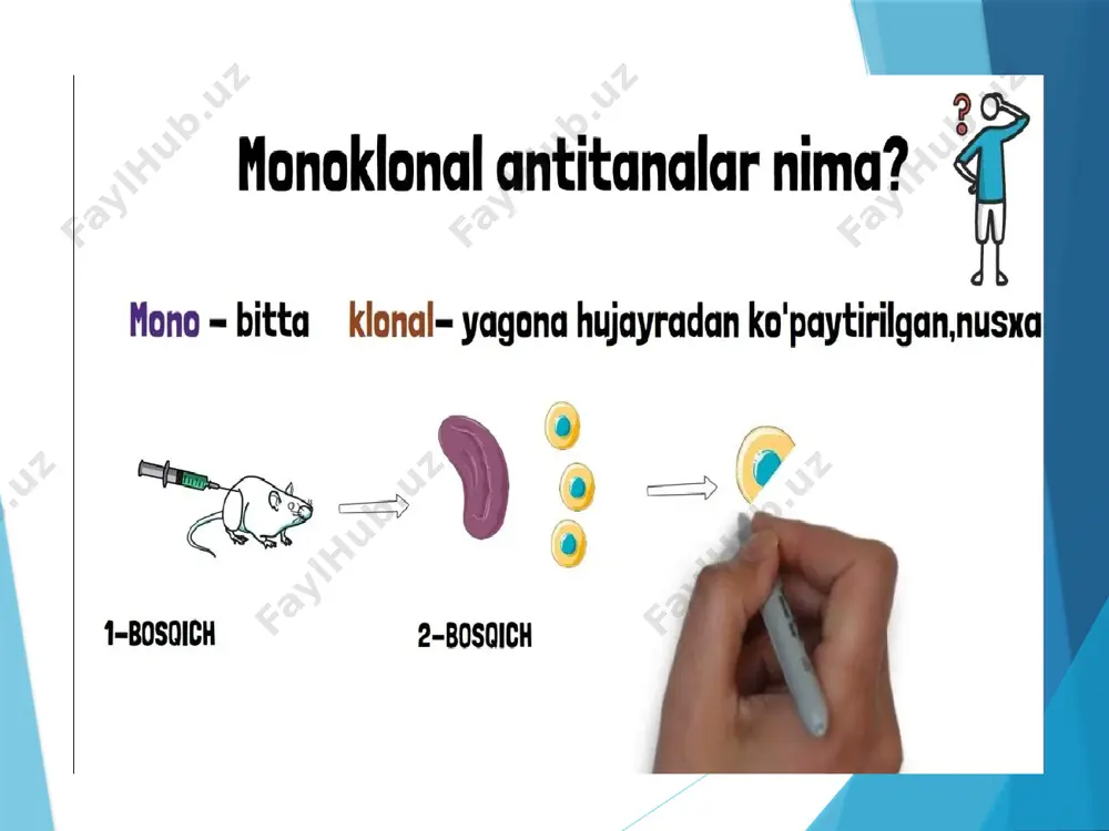 monoklonal antitelalar - Page 3
