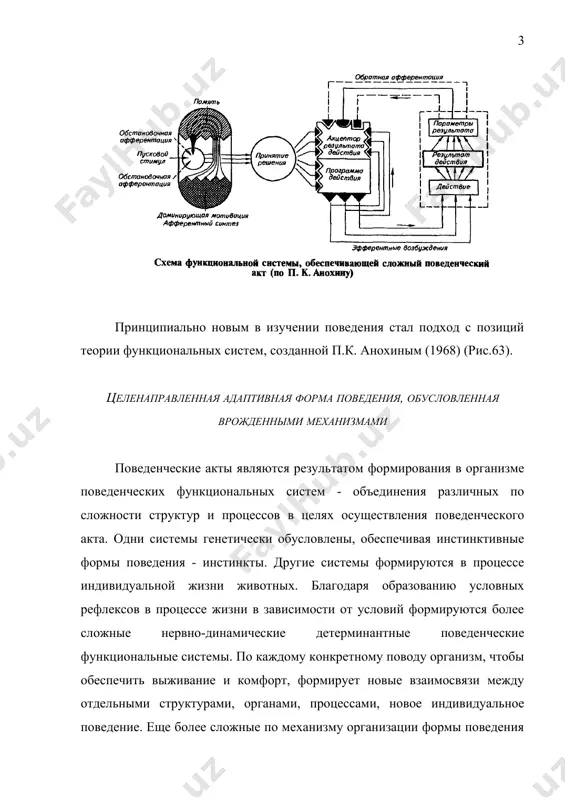 ведение. еще более сложные по механизму организации формы поведения связаны со способностью животных улавливать простейшие законы взаимосвязи с предметами, явлениями и использовать их при построении программы адаптивного поведения. закономерности формирования генетически обусловленных поведенческих функциональных систем выявлены исследованиями п.к. анохина (1935). им были вскрыты узловые звенья и механизмы деятельности функциональной системы: пусковой афферентации, центральное, эфферентное, периферических исполнительных органов, обратной афферентации о параметрах приспособительной реакции с акцептором результатов действия. поведенческая реакция связана с формированием программы действия в центральном звене - нервном центре в процессе анализа и синтеза поступившей туда информации о изменившихся условиях внешней или внутренней среды, накоплением в нервном центре "специфической энергии". программа действия через эфферентные нервные проводники и путем изменения гормонального статуса поступает к периферическим исполнительным органам и вызывает то или иное поведение, направленное на удовлетворение определенных побуждений, потребностей, поддержание гомеостаза. рецепторы звена обратной афферентации воспринимают параметры приспособительной реакции, по афферентным проводникам передают эту информацию в акцептор действия. акцептор результатов …
